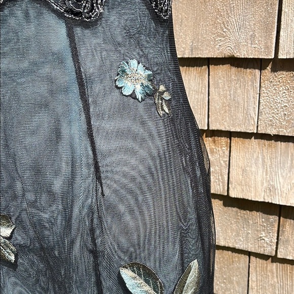 NWT Adriana Papell lace embroidered net sheer dress- gown- Size 10 - Picture 6 of 17